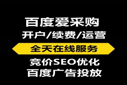 SEM代运营成功案例：打造行业领先品牌